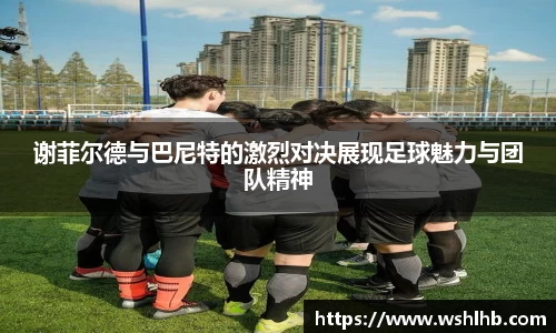 333体育谢菲尔德与巴尼特的激烈对决展现足球魅力与团队精神